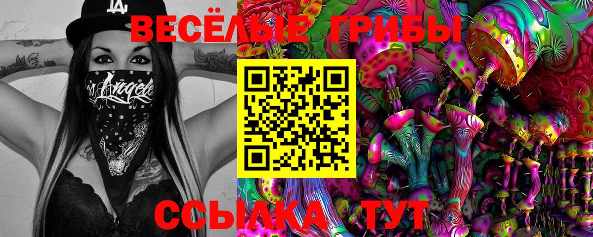 Шелехов  Галлюциногенные грибы мухоморы  Вход с VPN 